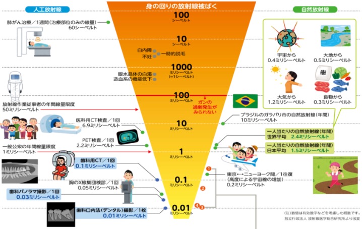 歯科用CTの被曝量